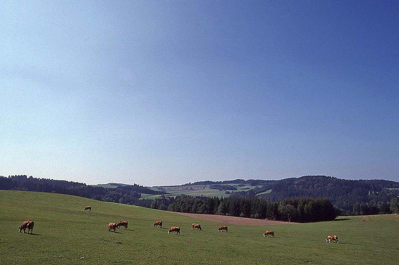 WT 4300 387-35 Austria.jpg